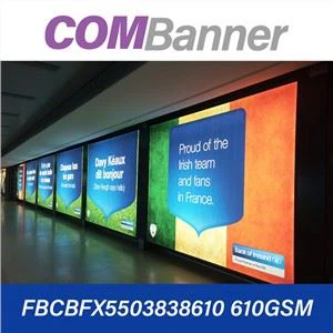 PVC 코팅 백라이트 플렉스 배너